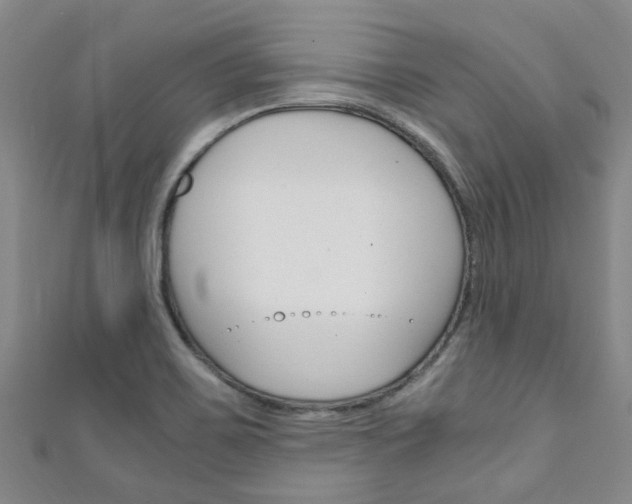 X0000111251467200907021009