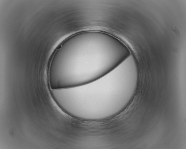 X0000111251468200907021009