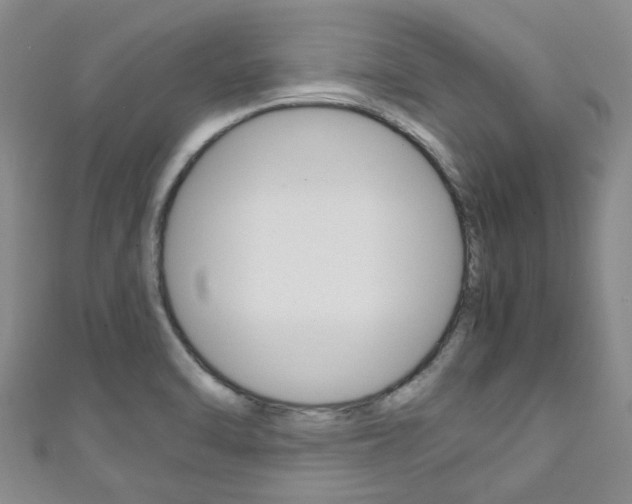 X0000111251470200907021009