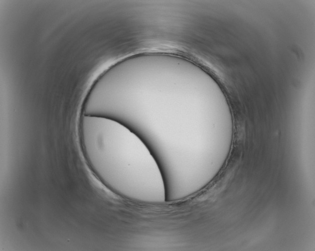 X0000111251471200907021009