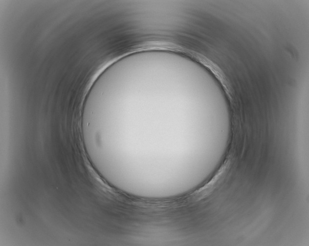 X0000111251473200907021009