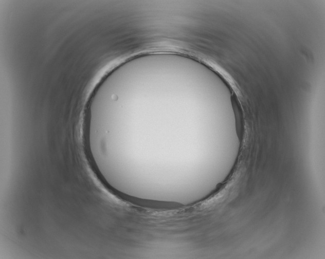 X0000111251477200907021009