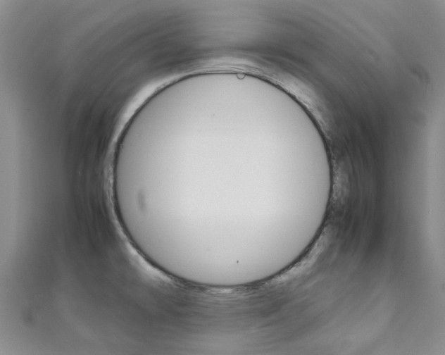 X0000111251478200907021009