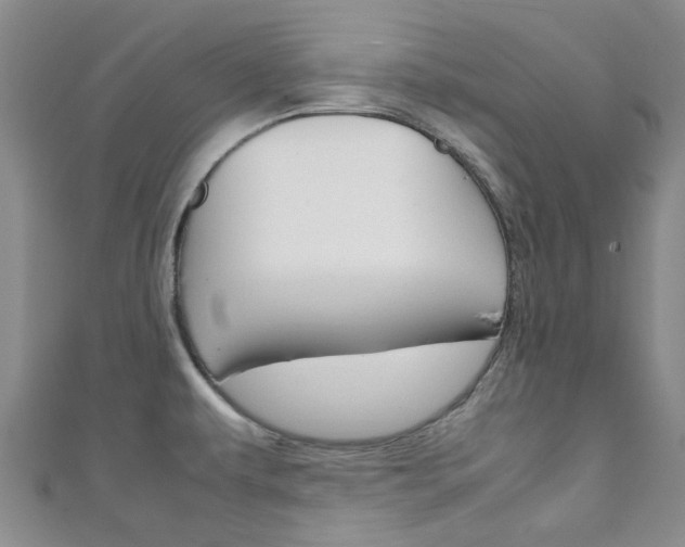 X0000111251479200907021009
