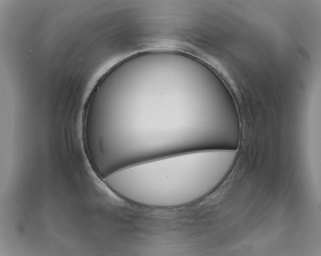 X0000111251480200907021009
