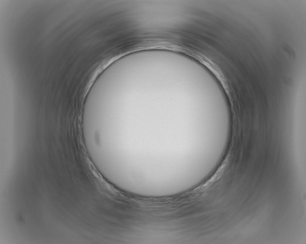 X0000111251481200907021009