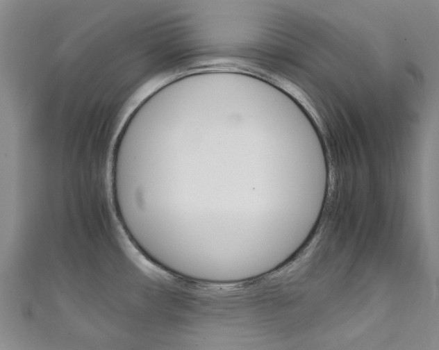 X0000111251482200907021009