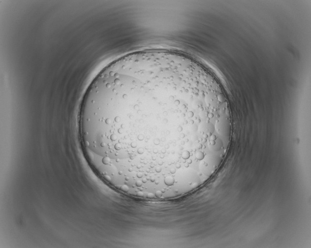 X0000111251483200907021009