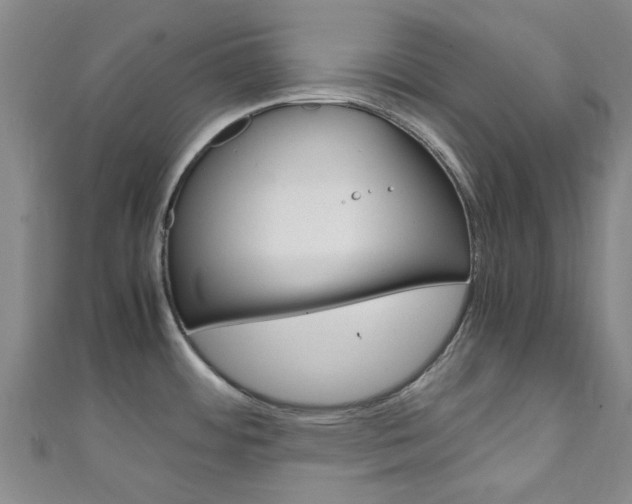 X0000111251484200907021009