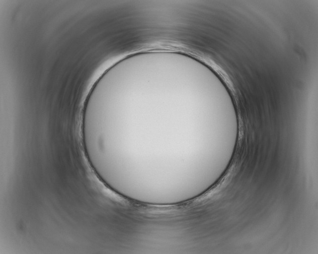 X0000111251486200907021009