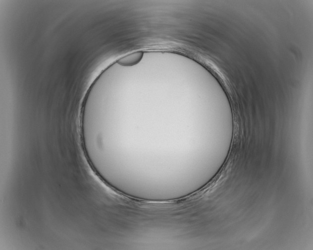 X0000111251487200907021009