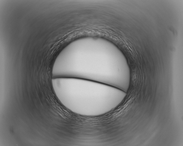 X0000111251490200907021008