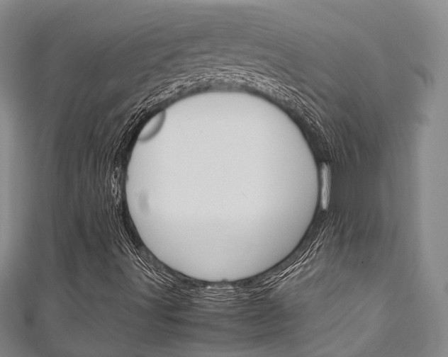 X0000111251491200907021008