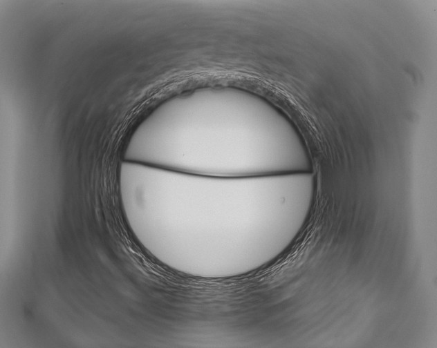 X0000111251492200907021008