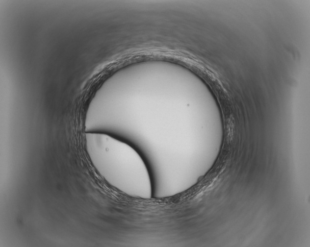 X0000111251494200907021008