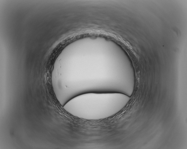 X0000111251495200907021008