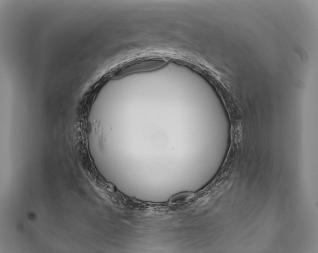 X0000111251496200907021008