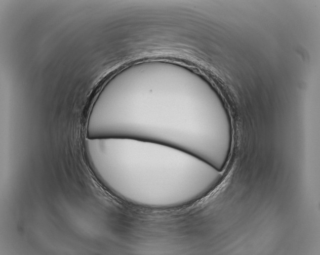 X0000111251497200907021008