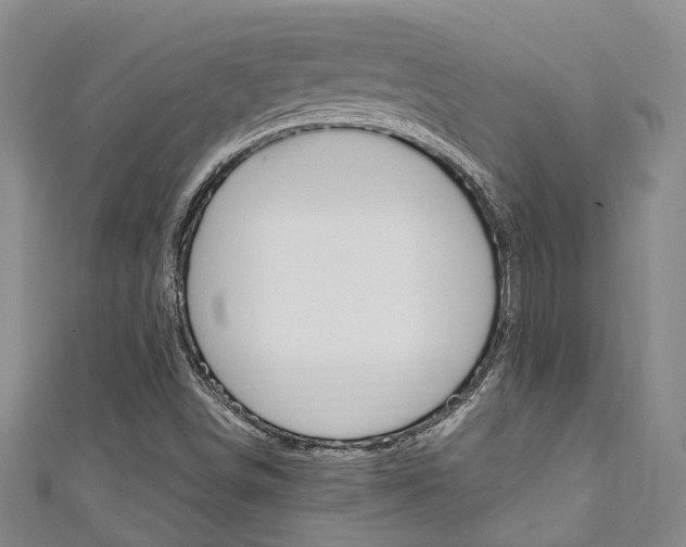 X0000111251498200907021008