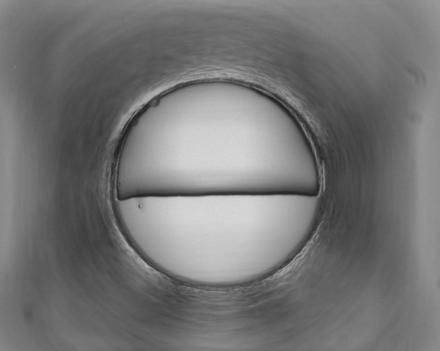 X0000111251500200907021008