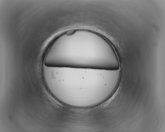 X0000111251502200907021008
