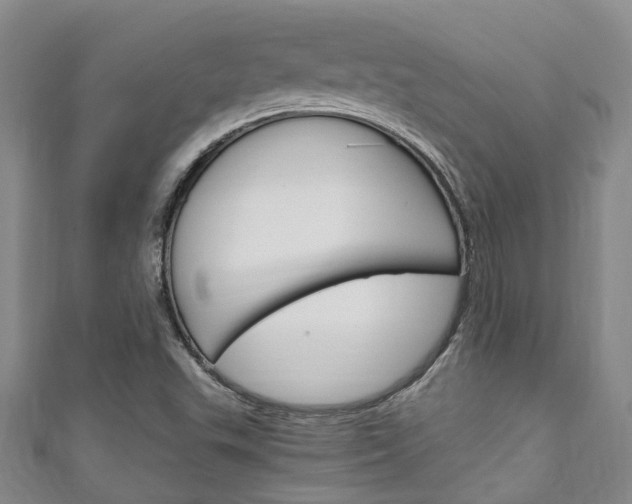 X0000111251503200907021008