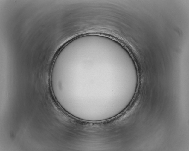 X0000111251505200907021009