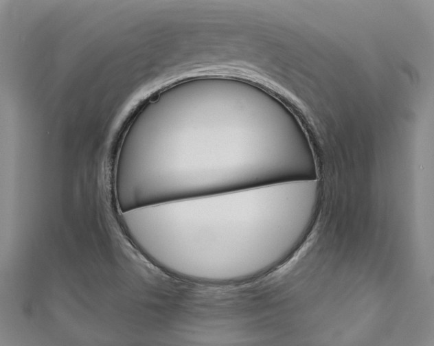 X0000111251506200907021009
