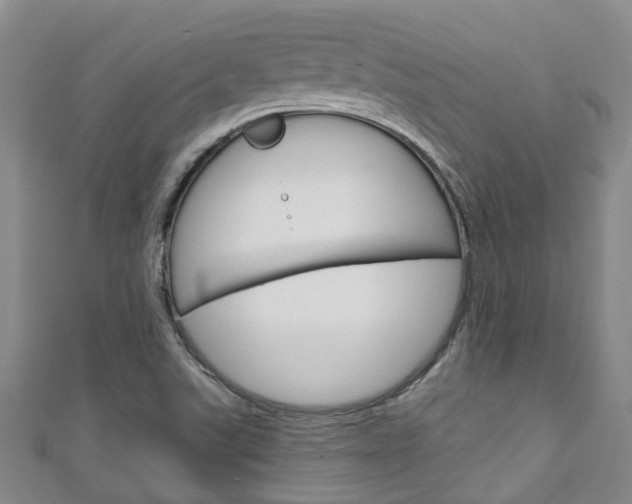 X0000111251507200907021009
