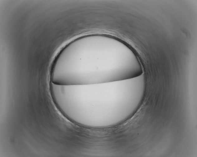 X0000111251508200907021009