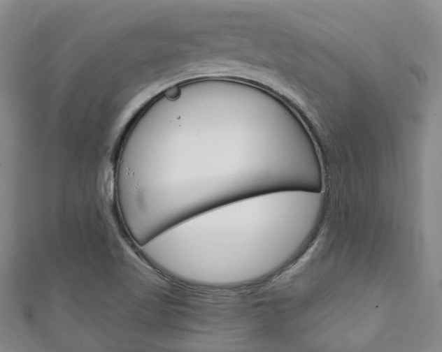 X0000111251509200907021009