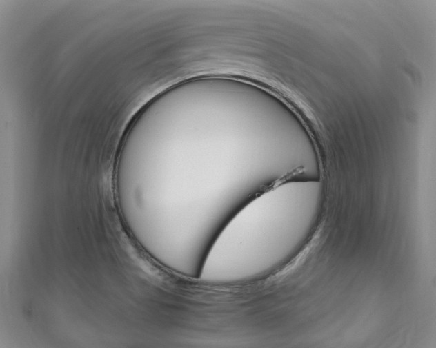 X0000111251513200907021009