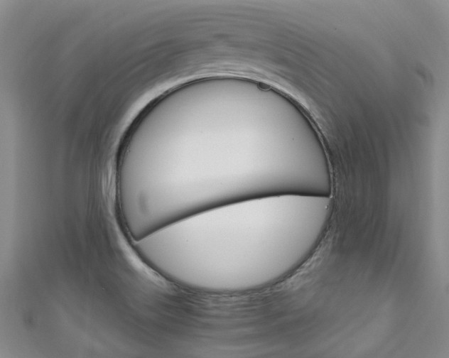 X0000111251515200907021009