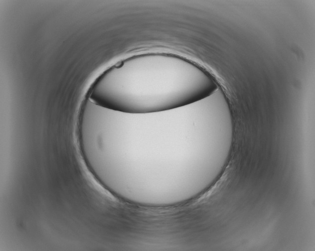 X0000111251518200907021009