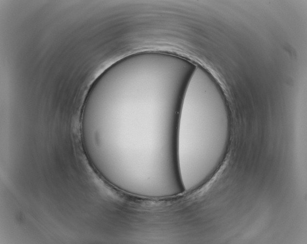 X0000111251521200907021009