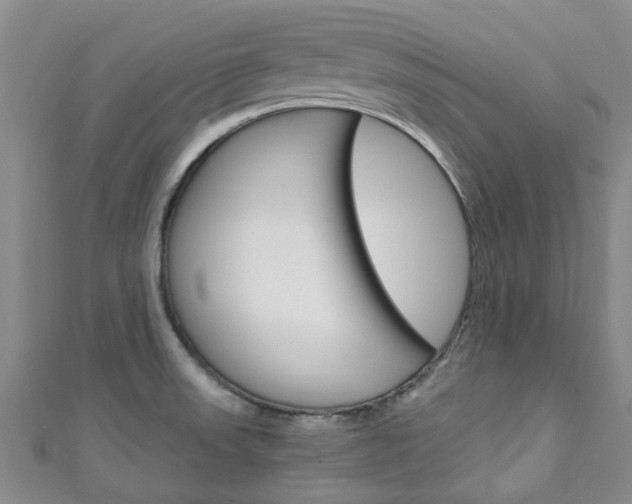 X0000111251523200907021009