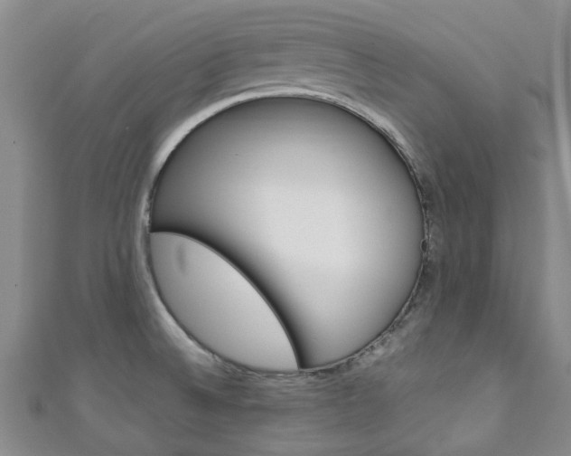 X0000111251524200907021009
