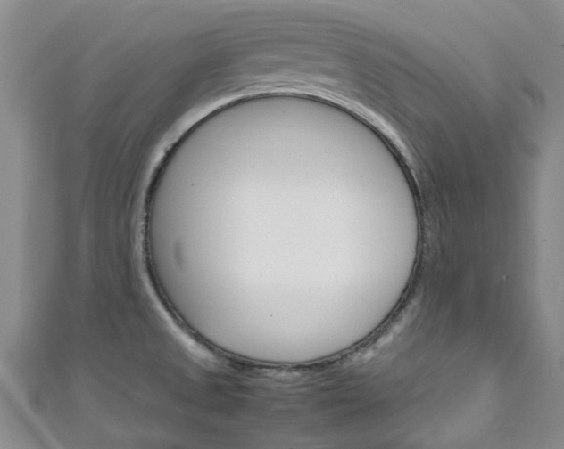 X0000111251525200907021009