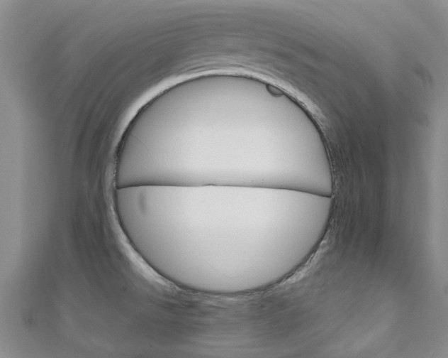 X0000111251526200907021009