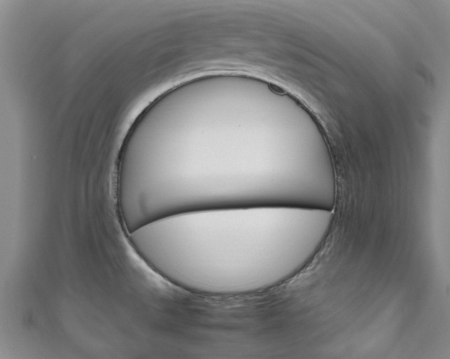 X0000111251527200907021009