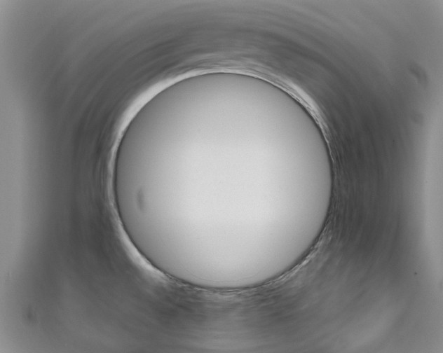 X0000111251528200907021009