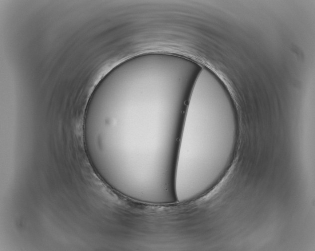 X0000111251529200907021009