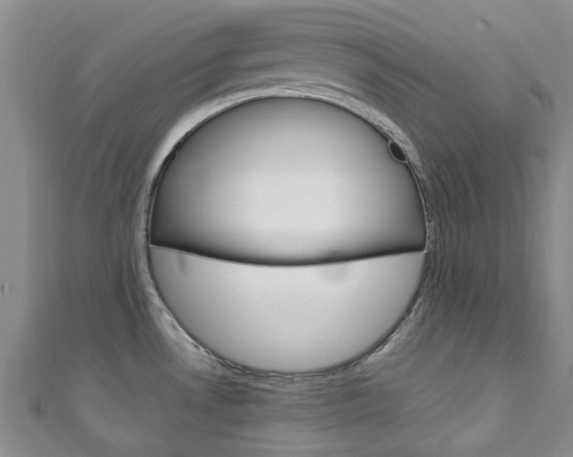 X0000111251530200907021009