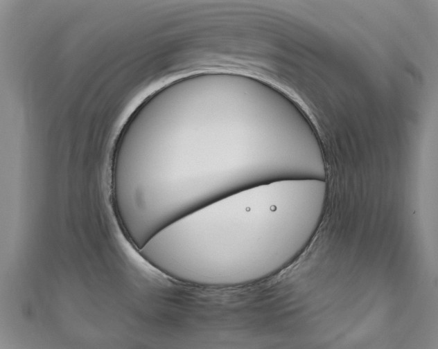 X0000111251531200907021009