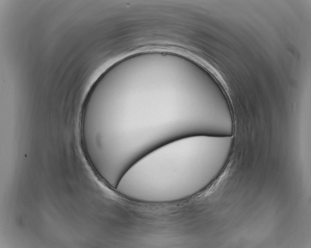 X0000111251533200907021009