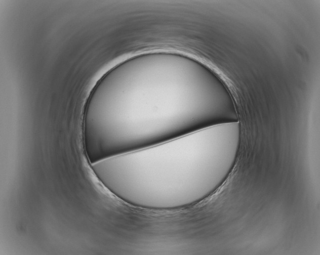 X0000111251534200907021009