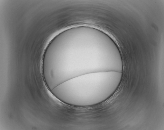 X0000111251535200907021009