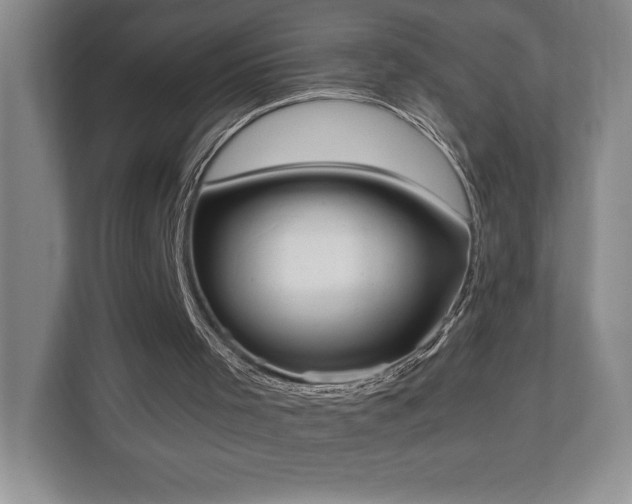 X0000111250001200907021440