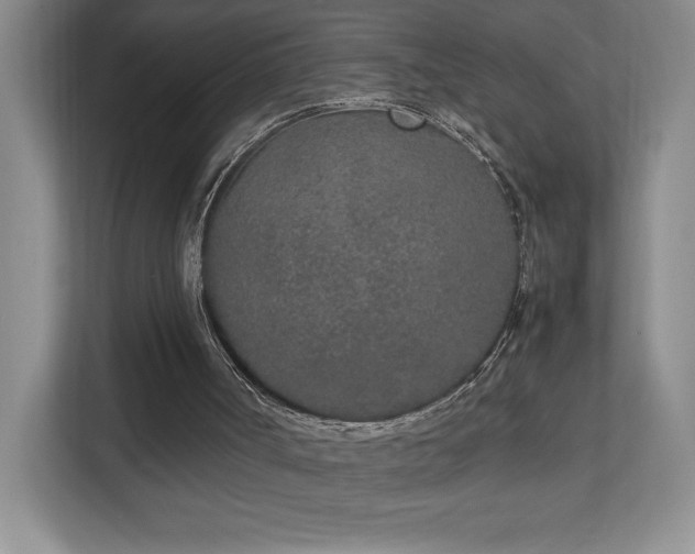 X0000111250002200907021440