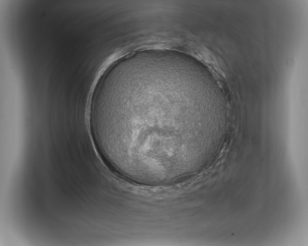 X0000111250003200907021440